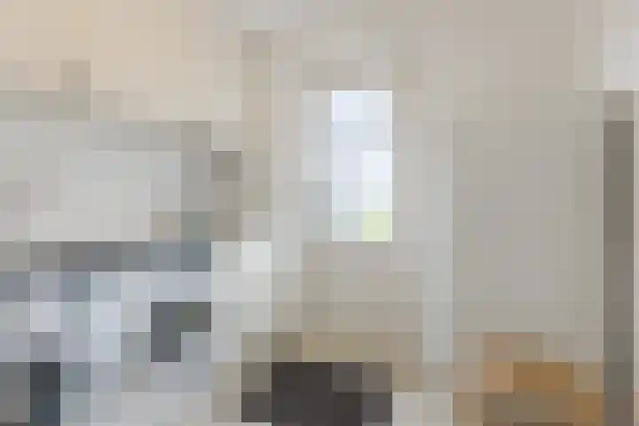Oosterhulst 51 Nieuwleusen thumbnail 23