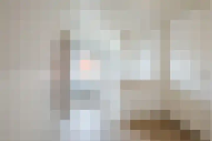 Oosterhulst 51 Nieuwleusen thumbnail 27