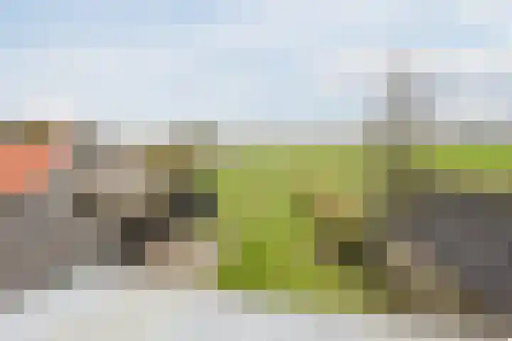 Oosterhulst 51 Nieuwleusen thumbnail 30