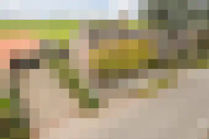 Oosterhulst 51 Nieuwleusen thumbnail 4