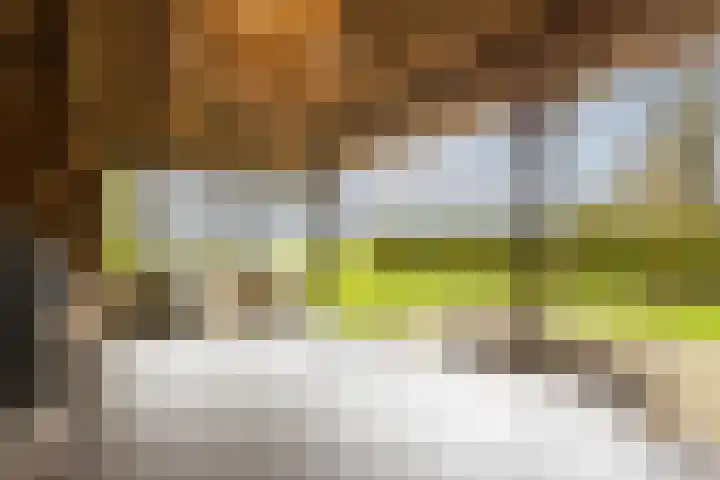Oosterhulst 51 Nieuwleusen thumbnail 48