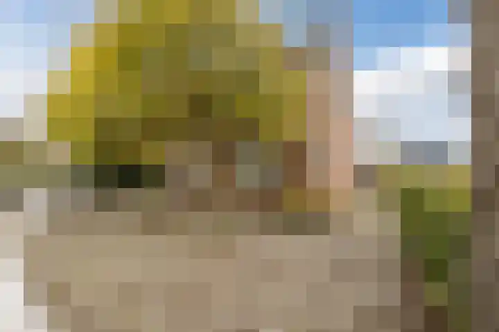 Oosterhulst 51 Nieuwleusen thumbnail 5