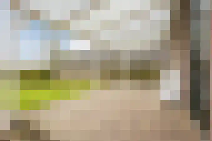 Oosterhulst 51 Nieuwleusen thumbnail 51