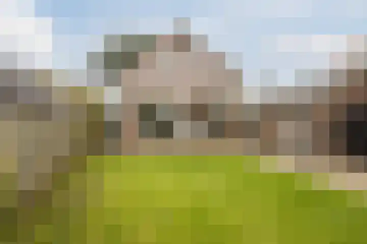 Oosterhulst 51 Nieuwleusen thumbnail 54
