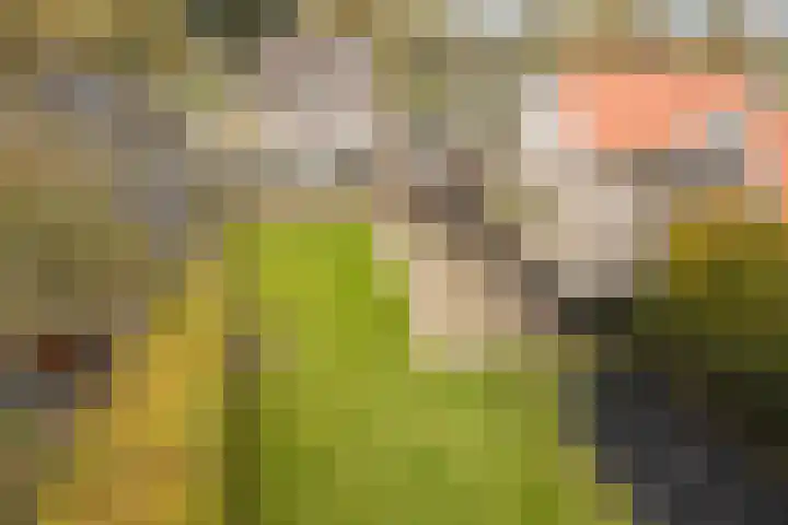 Oosterhulst 51 Nieuwleusen thumbnail 56