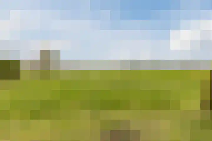 Oosterhulst 51 Nieuwleusen thumbnail 57