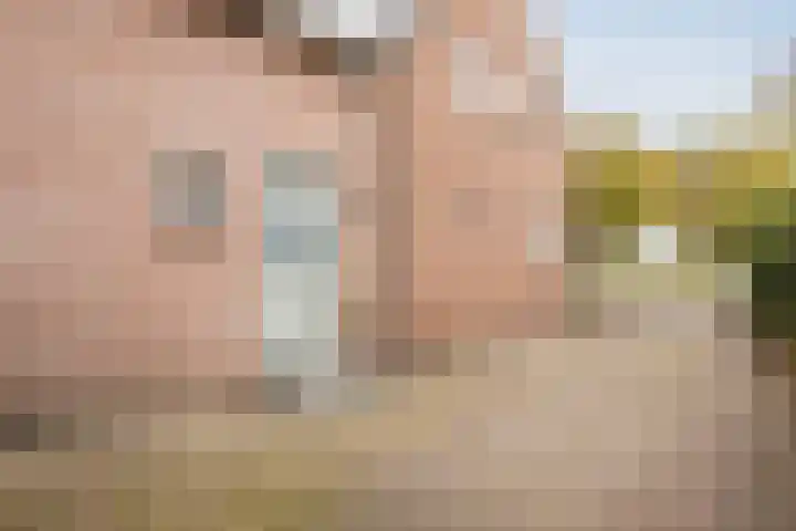 Oosterhulst 51 Nieuwleusen thumbnail 6