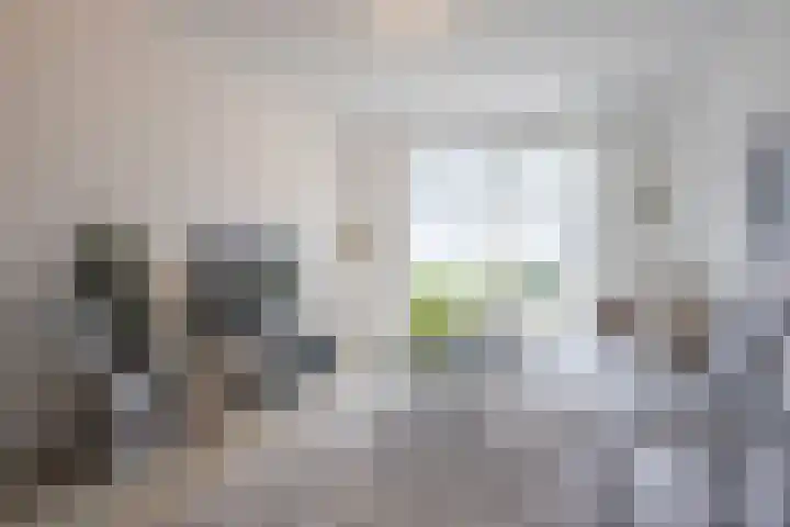 Oosterhulst 51 Nieuwleusen thumbnail 9