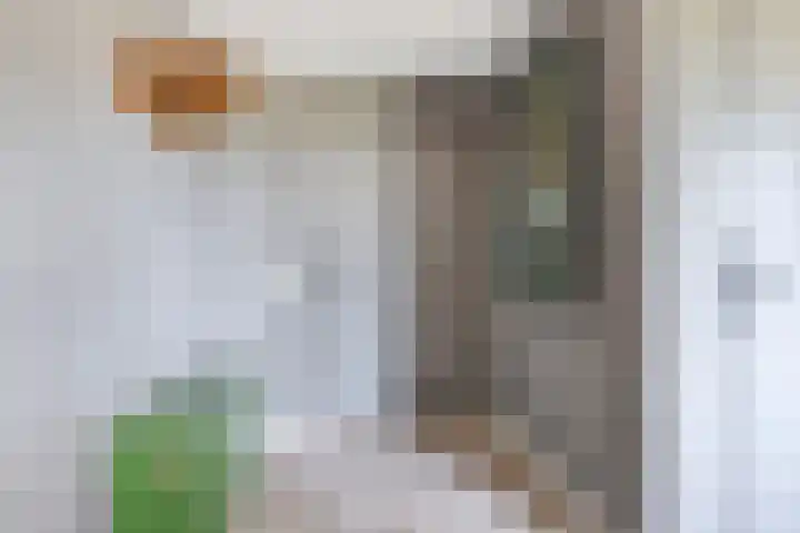 Oosterinkweg 3 Eibergen thumbnail 12
