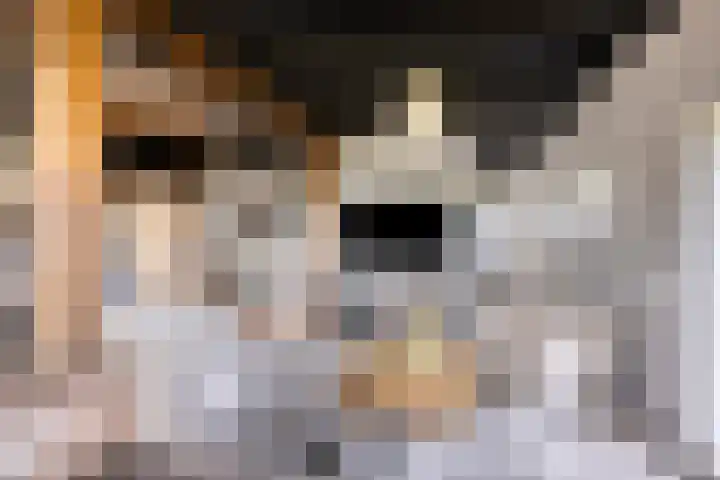 Oosterinkweg 3 Eibergen thumbnail 17