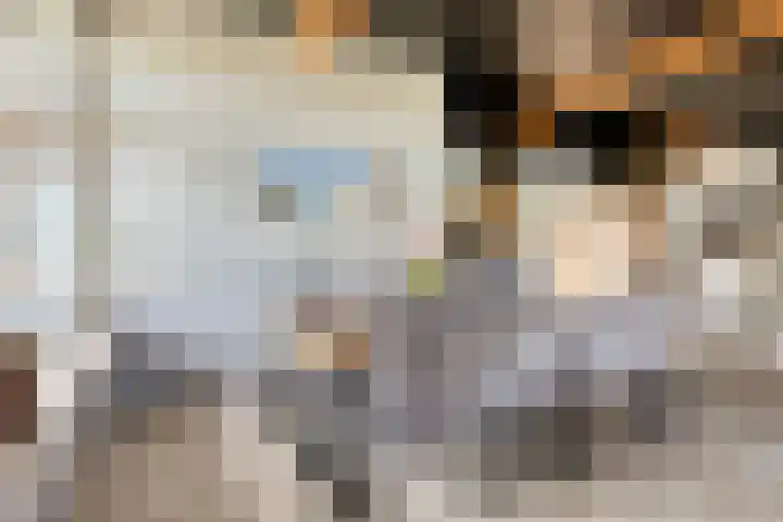 Oosterinkweg 3 Eibergen thumbnail 18