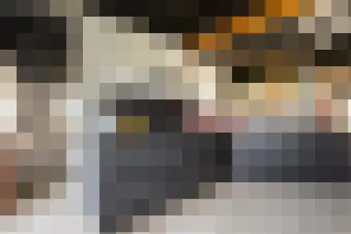 Oosterinkweg 3 Eibergen thumbnail 19