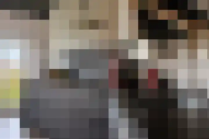 Oosterinkweg 3 Eibergen thumbnail 21