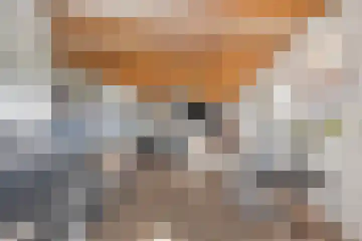 Oosterinkweg 3 Eibergen thumbnail 33