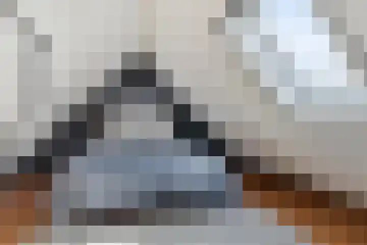 Oosterinkweg 3 Eibergen thumbnail 38