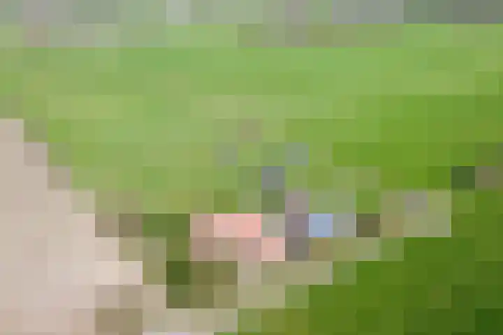Oosterinkweg 3 Eibergen thumbnail 4