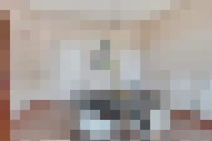 Oosterinkweg 3 Eibergen thumbnail 41