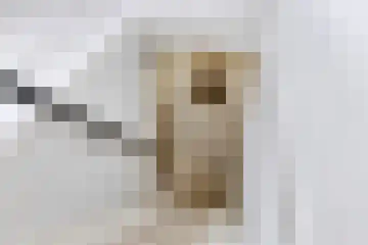 Oosterinkweg 3 Eibergen thumbnail 49