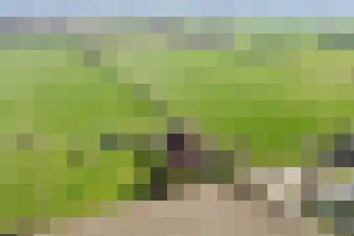 Oosterinkweg 3 Eibergen thumbnail 5