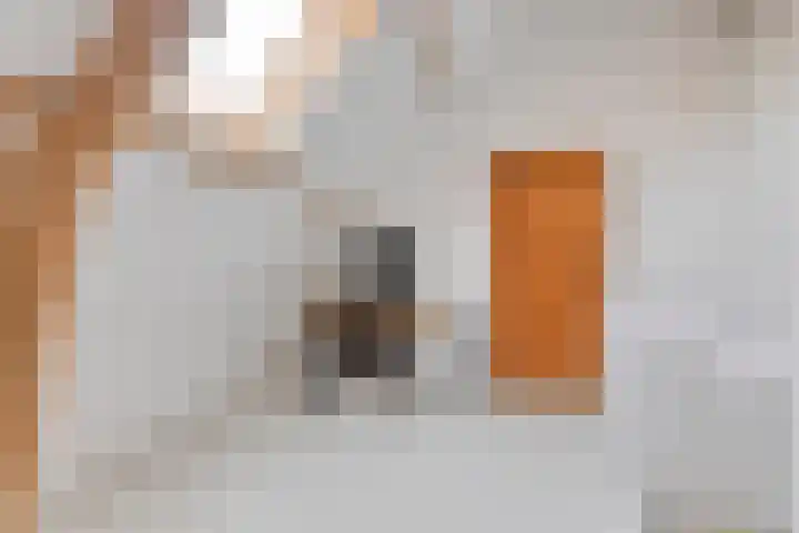 Oosterinkweg 3 Eibergen thumbnail 50