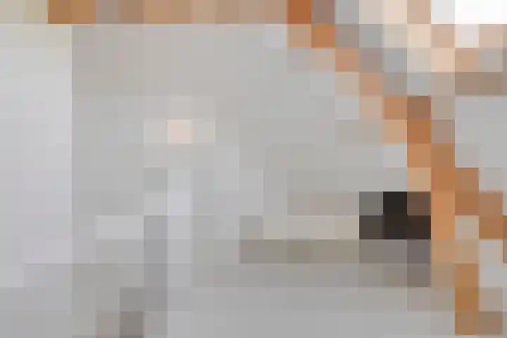Oosterinkweg 3 Eibergen thumbnail 51