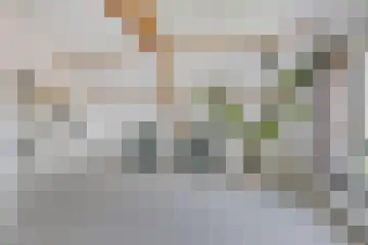 Oosterinkweg 3 Eibergen thumbnail 54