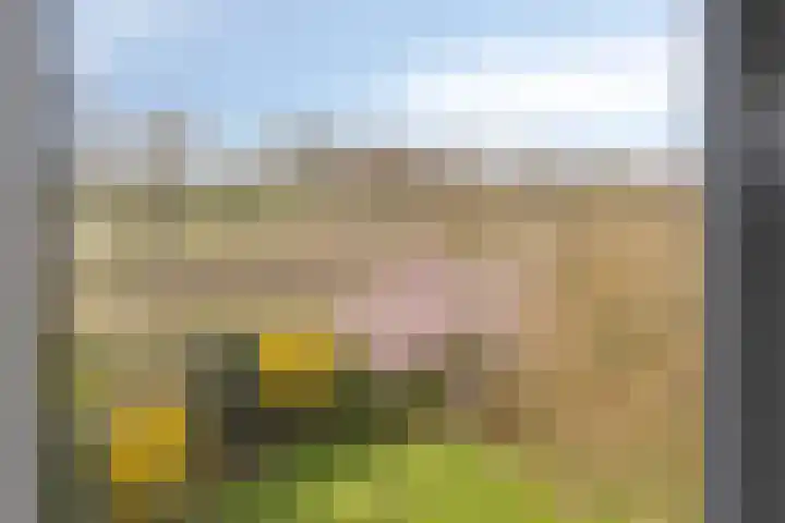 Oosterinkweg 3 Eibergen thumbnail 55