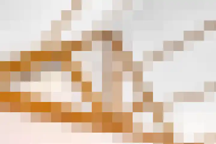 Oosterinkweg 3 Eibergen thumbnail 56