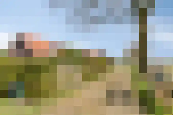 Oosterinkweg 3 Eibergen thumbnail 6