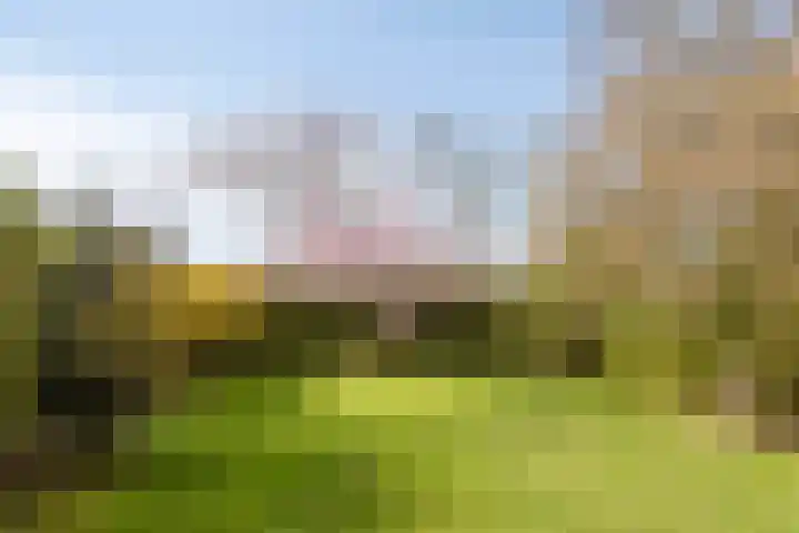 Oosterinkweg 3 Eibergen thumbnail 63