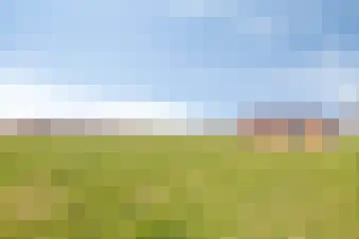 Oosterinkweg 3 Eibergen thumbnail 65