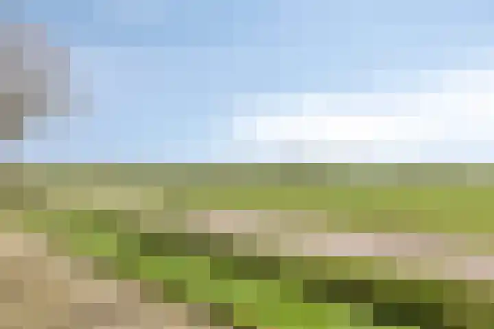 Oosterinkweg 3 Eibergen thumbnail 75