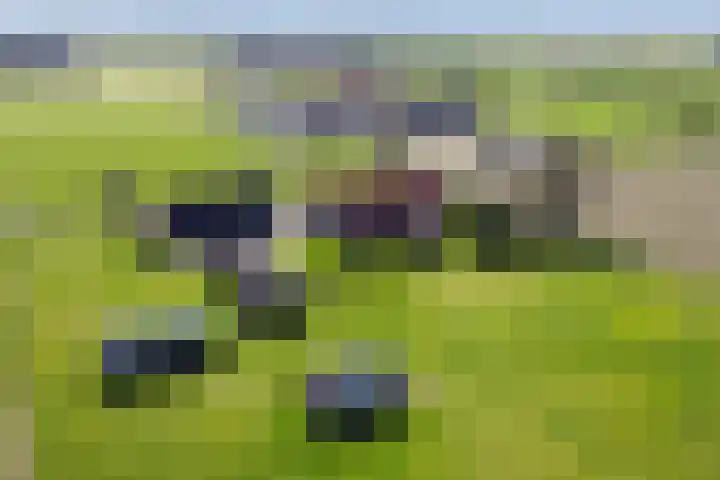 Oosterinkweg 3 Eibergen thumbnail 77