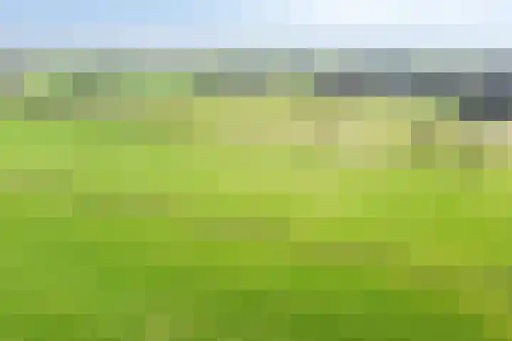 Oosterinkweg 3 Eibergen thumbnail 80