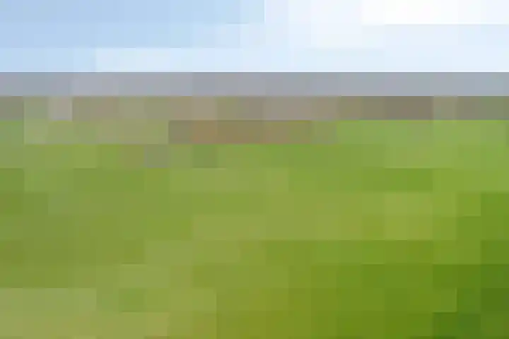 Oosterinkweg 3 Eibergen thumbnail 81