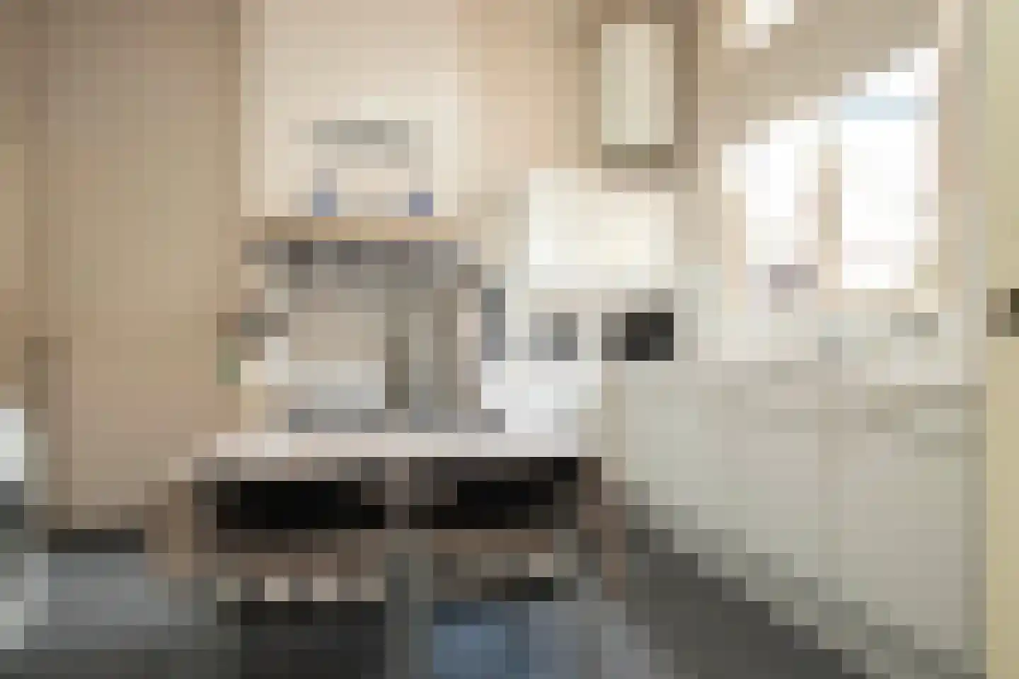 Oosterkaai 13 Genemuiden thumbnail 19