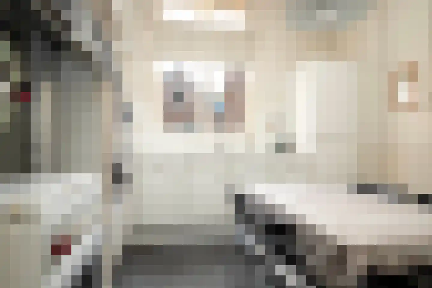 Oosterkaai 13 Genemuiden thumbnail 20