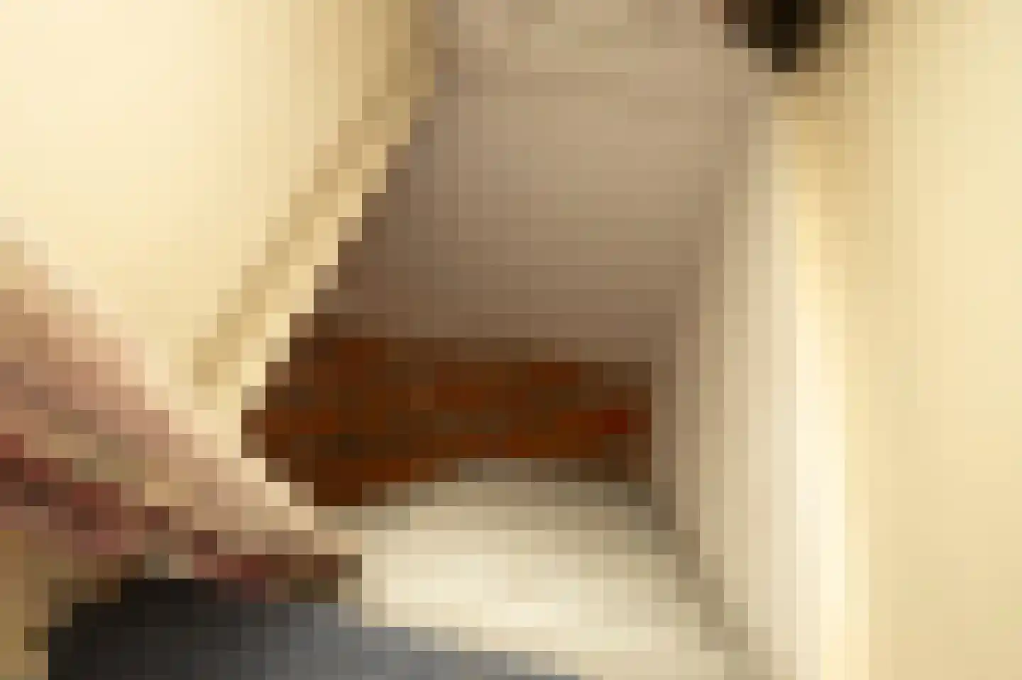 Oosterkaai 13 Genemuiden thumbnail 21