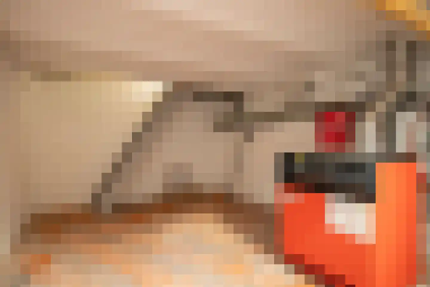 Oosterkaai 13 Genemuiden thumbnail 22