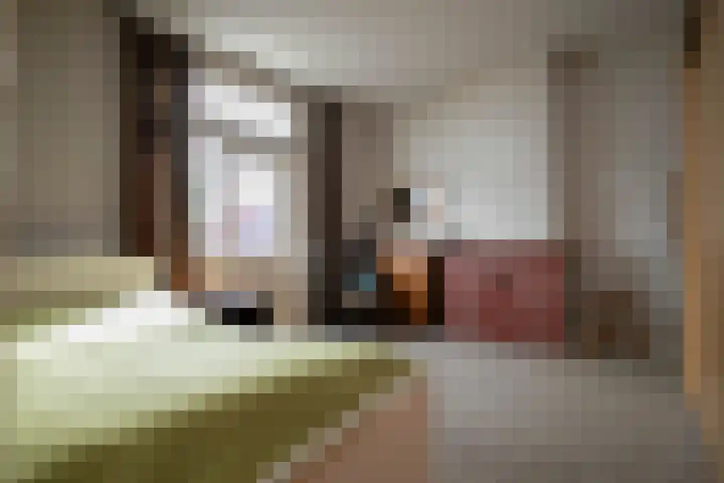 Oosterkaai 13 Genemuiden thumbnail 30