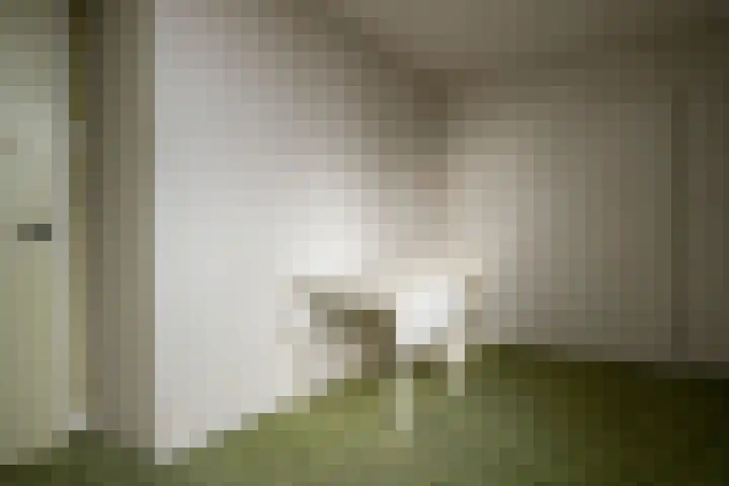 Oosterkaai 13 Genemuiden thumbnail 31
