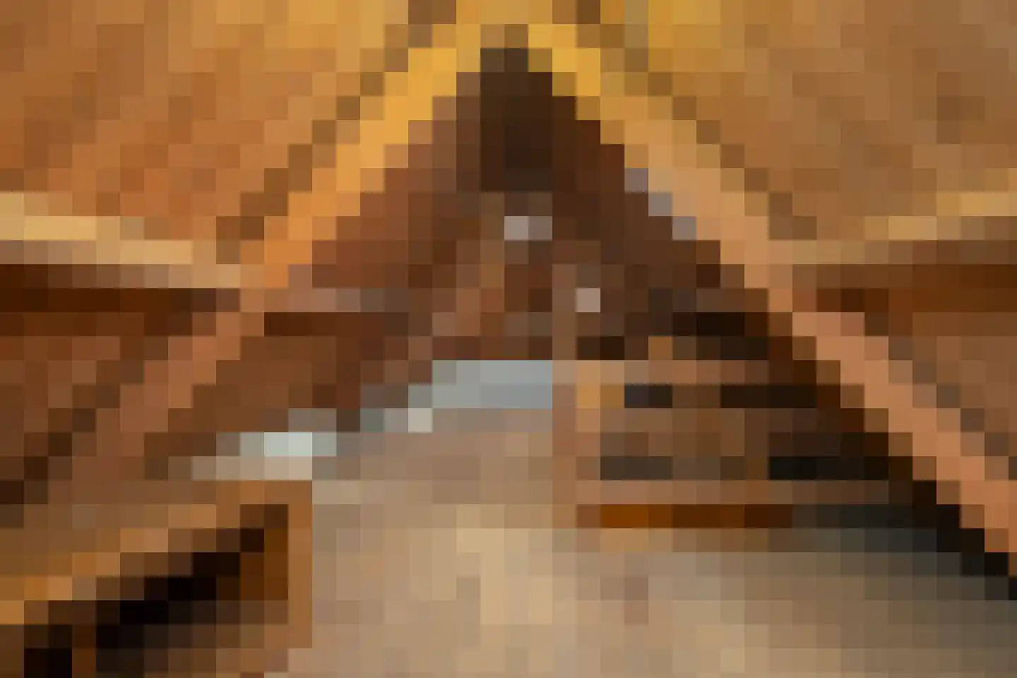 Oosterkaai 13 Genemuiden thumbnail 36