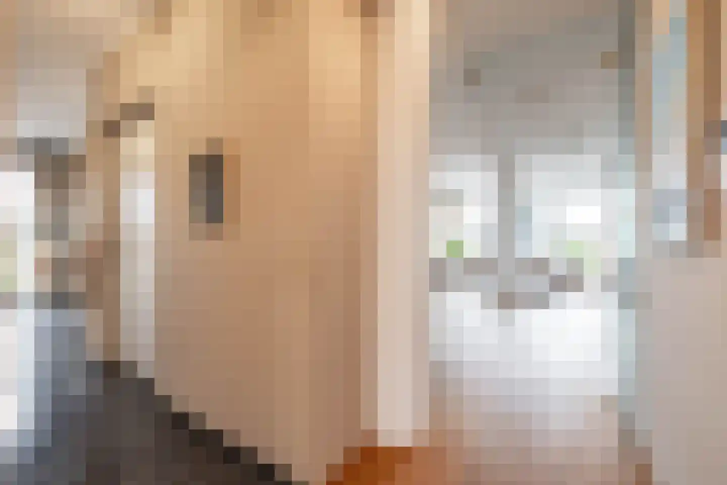 Oosterkade 12 8 Groningen thumbnail 9