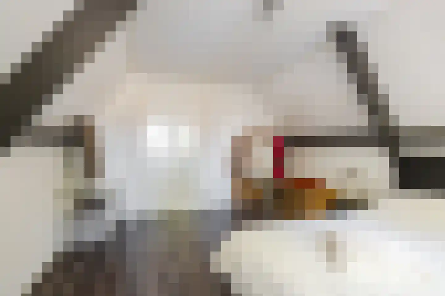 Oosterkade 13 Stadskanaal thumbnail 29