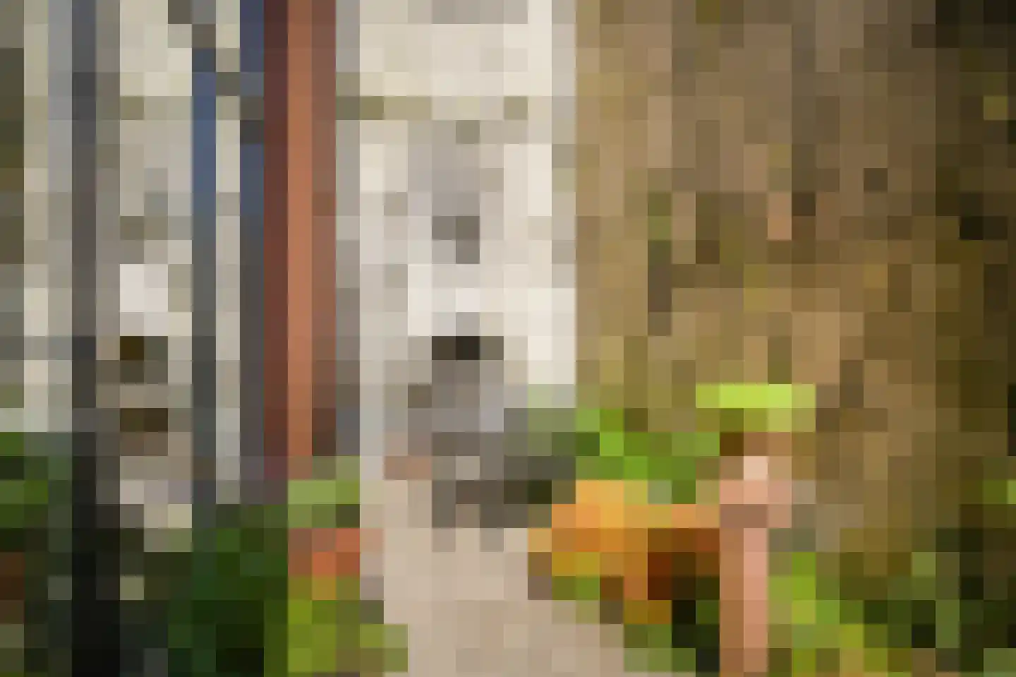 Oosterkade 2 A Utrecht thumbnail 9