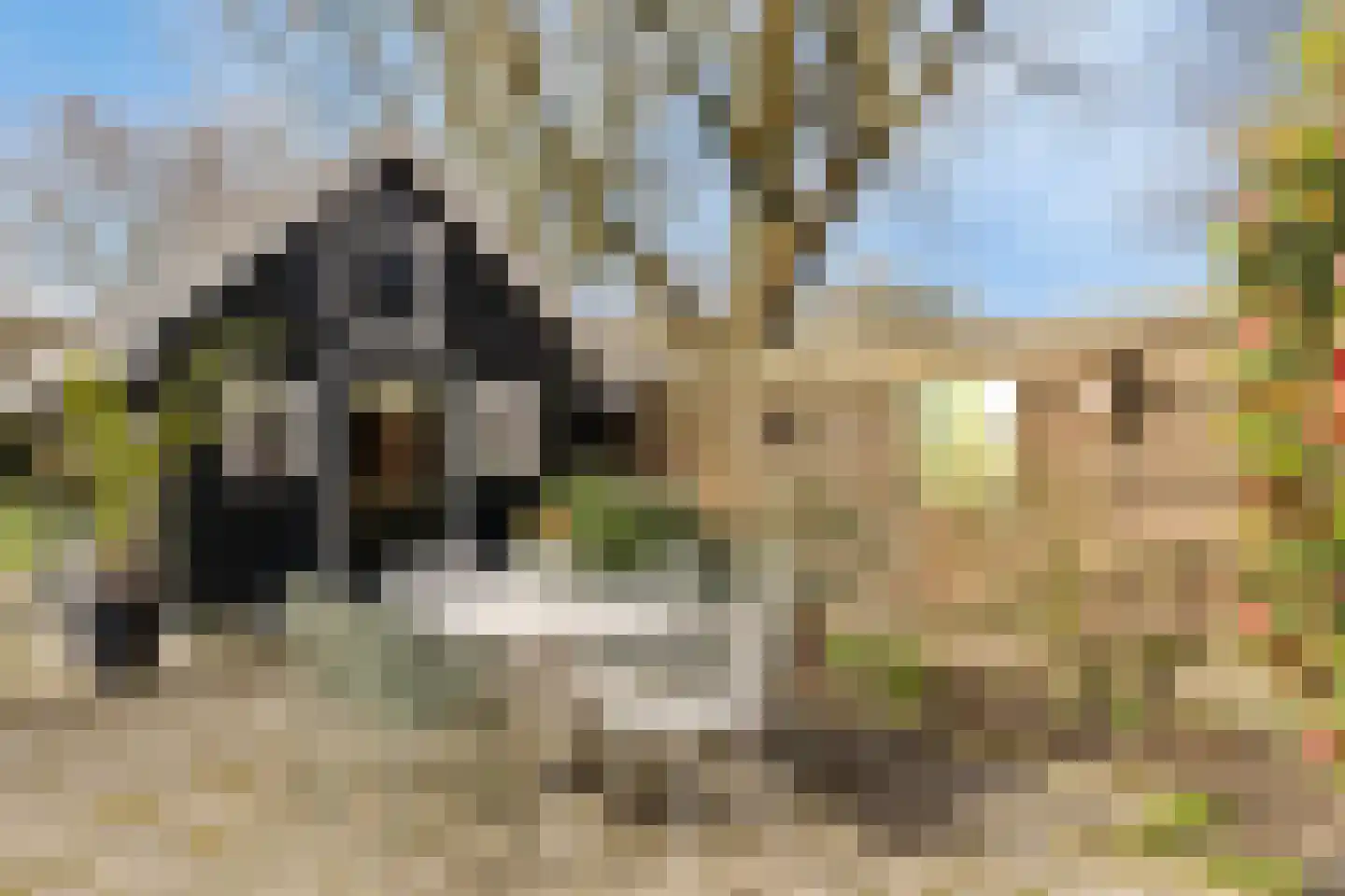 Oosterkade 21 Stadskanaal thumbnail 32