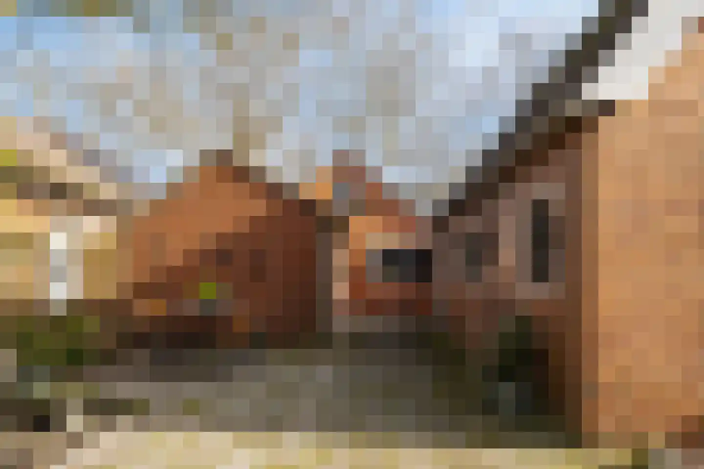 Oosterkade 21 Stadskanaal thumbnail 34