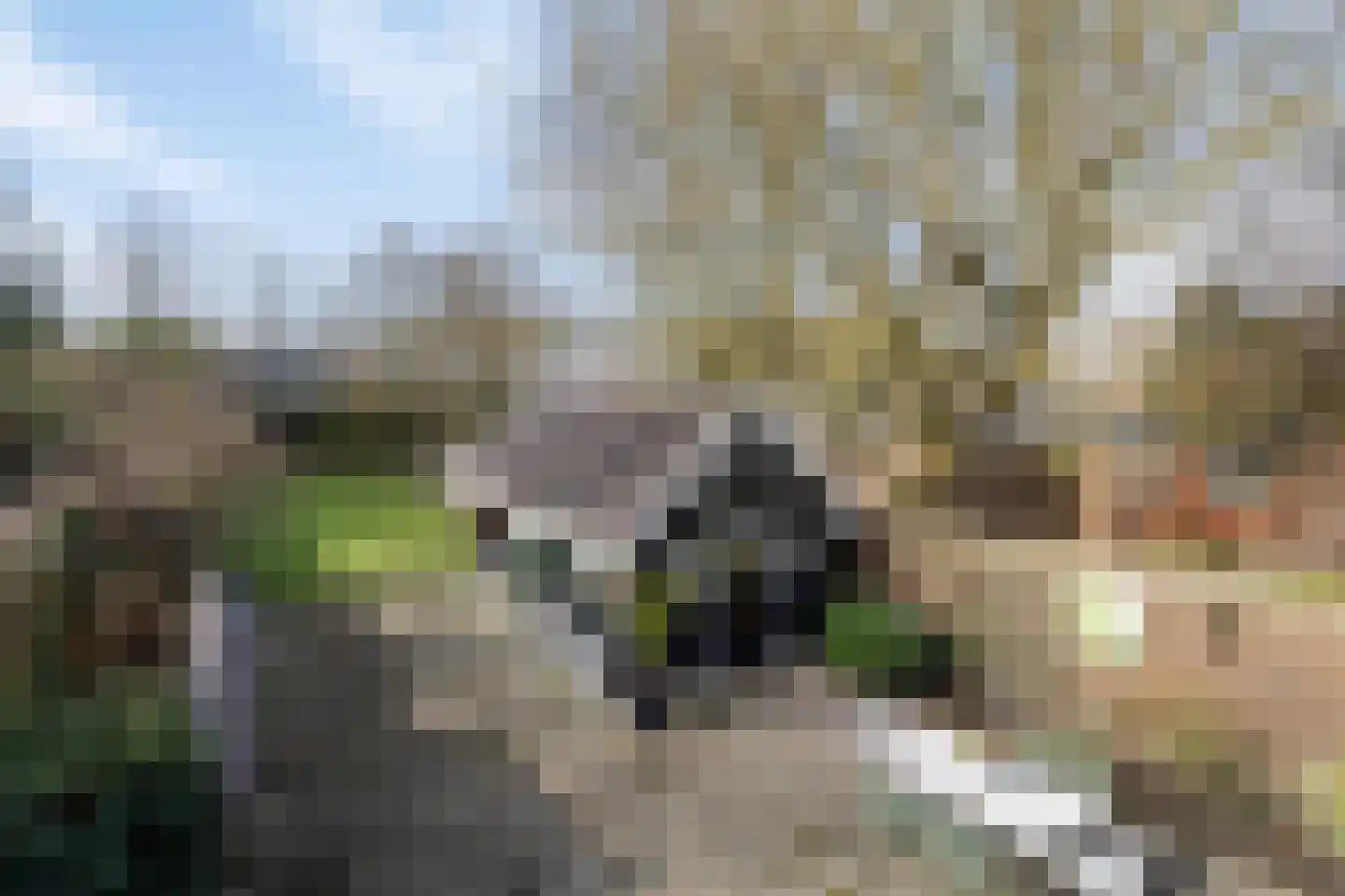 Oosterkade 21 Stadskanaal thumbnail 39