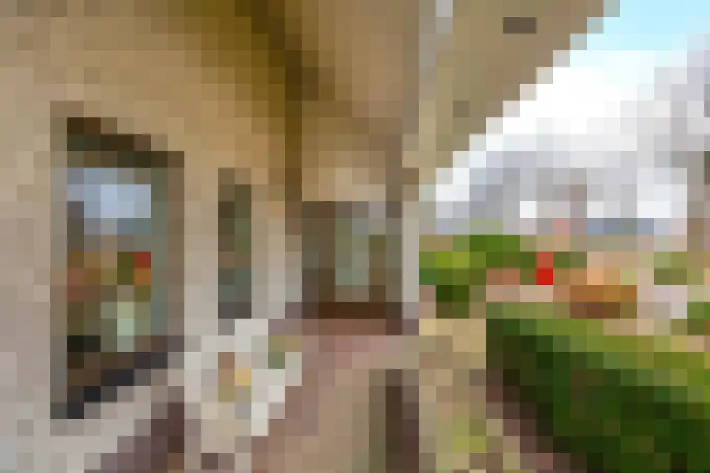 Oosterkade 27 Stadskanaal thumbnail 13