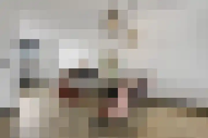 Oosterkamp 13 Voorthuizen thumbnail 11